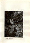 Ewidencja parkowa, skan nr 19