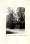 Ewidencja parkowa, skan nr 21
