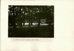 Ewidencja parkowa, skan nr 19