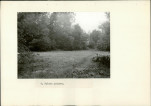 Ewidencja parkowa, skan nr 20