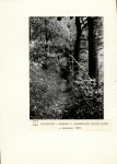 Ewidencja parkowa, skan nr 25