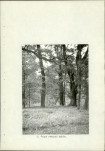 Ewidencja parkowa, skan nr 20