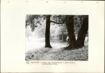 Ewidencja parkowa, skan nr 30
