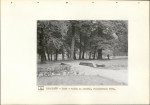 Ewidencja parkowa, skan nr 34