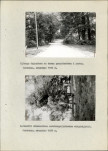 Ewidencja parkowa, skan nr 15