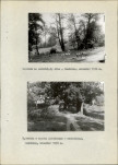 Ewidencja parkowa, skan nr 17