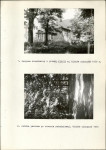 Ewidencja parkowa, skan nr 13