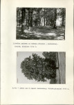 Ewidencja parkowa, skan nr 14