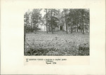 Ewidencja parkowa, skan nr 29