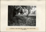 Ewidencja parkowa, skan nr 18