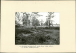 Ewidencja parkowa, skan nr 16
