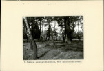 Ewidencja parkowa, skan nr 21