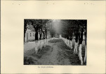 Ewidencja parkowa, skan nr 16