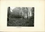 Ewidencja parkowa, skan nr 14