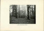 Ewidencja parkowa, skan nr 15