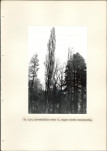 EP - Ewidencja parkowa, skan nr 21