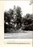 Ewidencja parkowa, skan nr 20