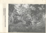 Ewidencja parkowa, skan nr 21