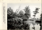 Ewidencja parkowa, skan nr 23