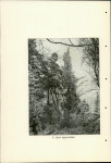 Ewidencja parkowa, skan nr 24