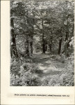 Ewidencja parkowa, skan nr 20