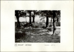 Ewidencja parkowa, skan nr 20