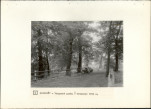 Ewidencja parkowa, skan nr 21