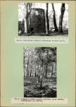 Ewidencja parkowa, skan nr 18