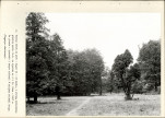 Ewidencja parkowa, skan nr 20
