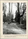 Ewidencja parkowa, skan nr 23
