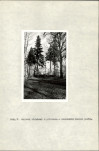 Ewidencja parkowa, skan nr 19
