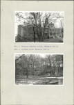 Ewidencja parkowa, skan nr 21