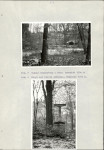 Ewidencja parkowa, skan nr 22