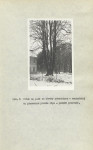 Ewidencja parkowa, skan nr 17