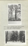Ewidencja parkowa, skan nr 21