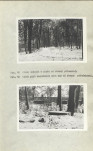 Ewidencja parkowa, skan nr 22