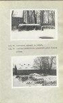 Ewidencja parkowa, skan nr 23