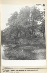 Ewidencja parkowa, skan nr 21