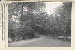 Ewidencja parkowa, skan nr 22