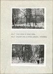 Ewidencja parkowa, skan nr 17