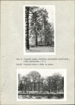 Ewidencja parkowa, skan nr 18