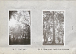 Ewidencja parkowa, skan nr 15