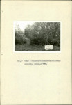 Ewidencja parkowa, skan nr 16