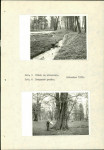 Ewidencja parkowa, skan nr 15