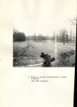 Ewidencja parkowa, skan nr 32