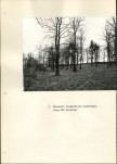 Ewidencja parkowa, skan nr 33