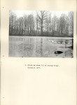 Ewidencja parkowa, skan nr 26