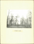 Ewidencja parkowa, skan nr 14