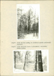 Ewidencja parkowa, skan nr 25