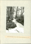 Ewidencja parkowa, skan nr 17